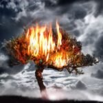 The accursed Tree in Holy Quran refers to ‘Bani Ummaiyya’