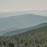 Day Dreaming an Act of Satan