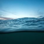 The Cause of Survival of The Universe