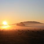 Sacrifice (Hadi – Qurbani)- On 10th Of Zilhajj