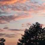 People – Kinds including the Feeble