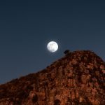 Purpose of an Imam (asws)