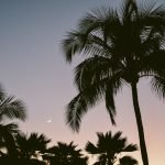 Fadak and the Divisions beyond Fadak