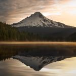 Appreciation and gratefulness