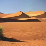 Timeline of major events in Islamic History