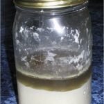 Sourdough and Vanilla Extracts