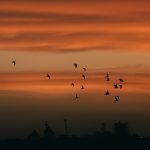 MidDay (Zawwal) Importance